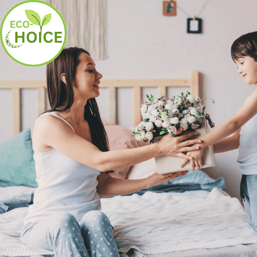 EcoChoice Affordable Natural Family Mattress by SolaPedic EcoChoice Affordable Natural Family Mattress by SolaPedic