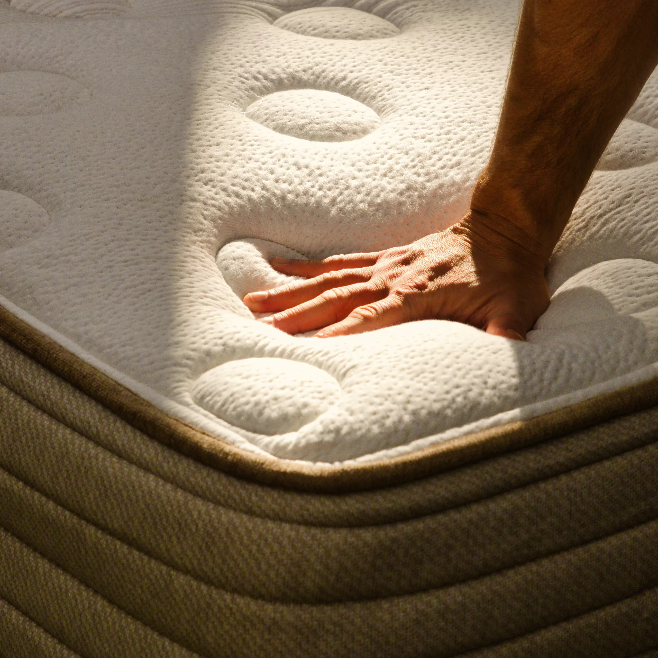 affordable organic bed solapedic eco choice father hand showing plush square large affordable organic bed solapedic eco choice father hand showing plush square large